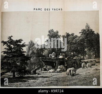 Promenade Au Jardin zoologique d'Anvers (PL. 20) (8560176224) Stockfoto