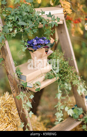 Party Einrichtung, Anordnung, Gartenarbeit Konzept. Die meisten schönen lila Blumen auf den Topf in Papier auf die dekorative Leiter, die durch die Blätter des wilden Reben bedeckten platziert gewickelt Stockfoto