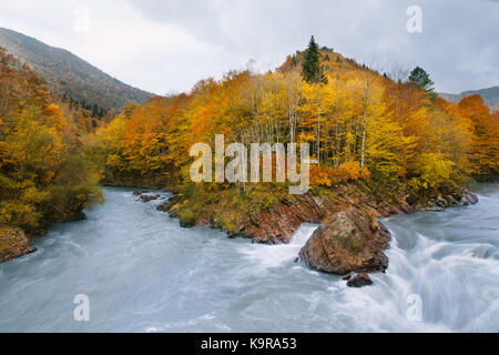 Tourismus, Trekking, environmnetal Schutz. zwei Strömungen unterschiedlicher riveres verbunden sind und Mischen bis in den Wilden, sehr schnell ein, d. h. über steinige Ufer mit gelben Wälder Stockfoto
