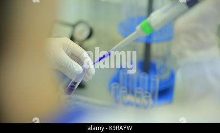 Reagenzgläser Nahaufnahme. Medizinische Ausrüstung. Close-up Aufnahmen von einem Wissenschaftler mit einem Micro pipette in einem Labor. Labortechniker Einspritzen der Flüssigkeit in einer Mikrotiterplatte. Reagenzgläser. Kleine Tiefenschärfe. Stockfoto