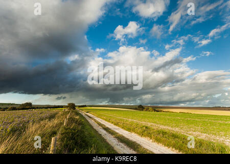 Wegweiser auf der South Downs Way in West Sussex, England. Stockfoto