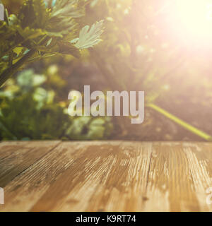 Leere rustikalem Holz Tischplatte auf unscharfen Sellerie Hintergrund im Garten. Kann Montage oder Ihre Produkte anzeigen. Stockfoto