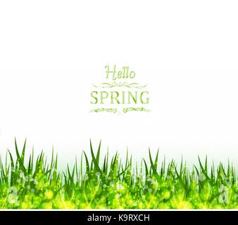Hallo Frühling Hintergrund mit Gras Stock Vektor
