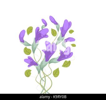 Aquarell - Cosmos Blumen Stock Vektor