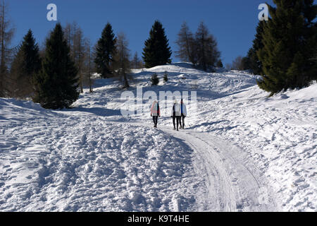 Wandern auf dem verschneiten Berg Stockfoto