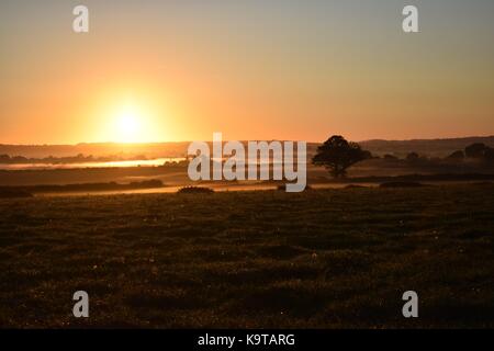 Sonnenaufgang über dem Glastonbury Mauren in Somerset UK mit low level Mist auf den Feldern und um die Bäume mit Sonnenstrahlen durch shinning. Stockfoto