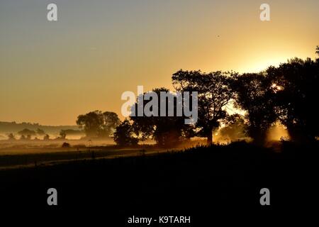 Sonnenaufgang über dem Glastonbury Mauren in Somerset UK mit low level Mist auf den Feldern und um die Bäume mit Sonnenstrahlen durch shinning. Stockfoto