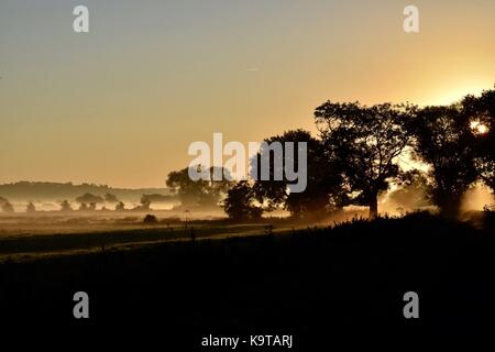 Sonnenaufgang über dem Glastonbury Mauren in Somerset UK mit low level Mist auf den Feldern und um die Bäume mit Sonnenstrahlen durch shinning. Stockfoto