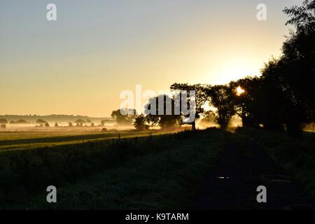 Sonnenaufgang über dem Glastonbury Mauren in Somerset UK mit low level Mist auf den Feldern und um die Bäume mit Sonnenstrahlen durch shinning. Stockfoto