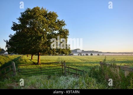 Sonnenaufgang über dem Glastonbury Mauren in Somerset UK mit low level Mist auf den Feldern und um die Bäume mit Sonnenstrahlen durch shinning. Stockfoto