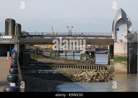 London, Vereinigtes Königreich. September 24rd, 2017. Warme, sonnige Wetter an der Thames Barrier heute in London. Ein Mensch beobachtet das Vorland durch die Ebbe auf den Flüssen Tag offenbart. Rob Powell/Alamy leben Nachrichten Stockfoto