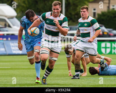 London, Großbritannien. 24. September, 2017. Rayn Smid in Aktion, Ealing Trailfinders v London Scottish in einem Greene King IPA Championship Match auf Schloss Bar, Vallis, West Ealing, London, England, am 24. September 2017 Endstand 72-12 Credit: Lissy Tomlinson/Alamy leben Nachrichten Stockfoto