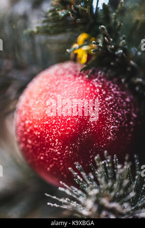 Schönes neues Jahr Dekorationen, rot schimmernde Kugel im Schnee close-up auf Weihnachtsbaum Stockfoto