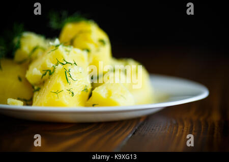 Gekochte Kartoffeln mit Dill in einer Platte Stockfoto