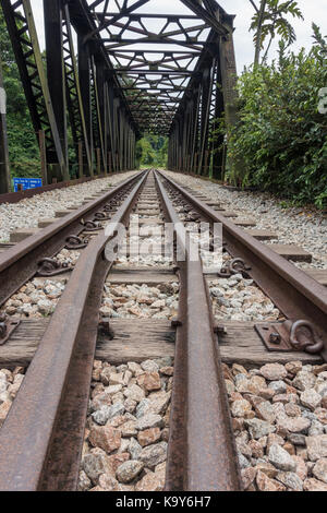 Die Grünen Korridor in Singapur, eine ehemalige Bahnstrecke, die in den Einsatz als Park beliebt bei Joggern und Spaziergängern umgewandelt wurde. Stockfoto