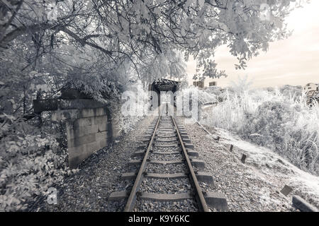 Die Grünen Korridor in Singapur, eine ehemalige Bahnstrecke, die in den Einsatz als Park beliebt bei Joggern und Spaziergängern umgewandelt wurde. Stockfoto