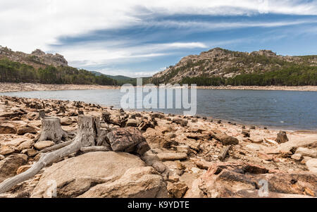 Alte Baumstämme unter den Felsen und Geröll am Ufer des Lac de l'Ospedale mit Pinien und Hügeln im Hintergrund unter blauem Himmel Stockfoto