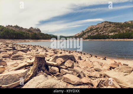 Alten Baumstumpf zu den Felsen und Geröll am Ufer des Lac de l'Ospedale mit Pinien und Hügeln im Hintergrund unter blauem Himmel Stockfoto