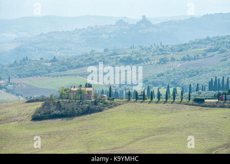 Schöne ländliche Landschaft des Val d'Orcia in der Nähe von Siena in der Toskana, Italien. Stockfoto