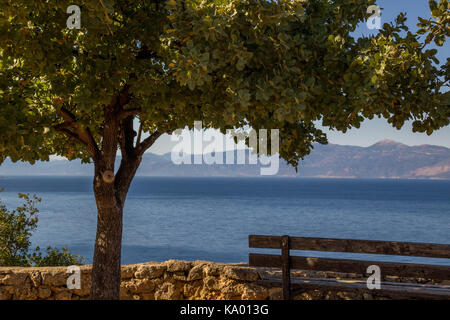 Bank unter einem Baum voller Farben, die am Rand einer Klippe mit dem Meer im Hintergrund Stockfoto