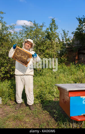 Imker, die eine Wabe voll von Bienen. Imker in arbeitsschutzausrüstungen Inspektion Honeycomb Rahmen an der Imkerei. Imkerei Konzept. Imker harve Stockfoto