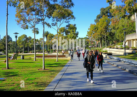 Blick auf dem Campus der Universität von Sydney (USyd), einer der renommiertesten Universitäten in Australien Stockfoto