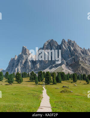 Wanderweg bei der Gschnagenhardt Alm, Villnößtal unterhalb der Geisler-Gipfel, hinter der Geisler-Gruppe, Sass Rigais Stockfoto