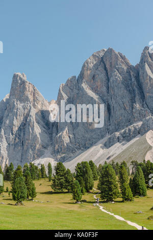 Wanderweg bei der Gschnagenhardt Alm, Villnößtal unterhalb der Geisler-Gipfel, hinter der Geisler-Gruppe, Sass Rigais Stockfoto