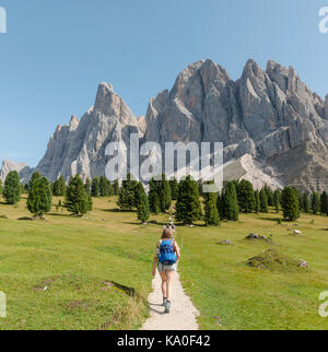 Wanderer auf dem Wanderweg bei der Gschnagenhardt Alm, Villnößtal unterhalb der Geisler-Gipfel, hinter der Geisler-Gruppe, Sass Rigais Stockfoto