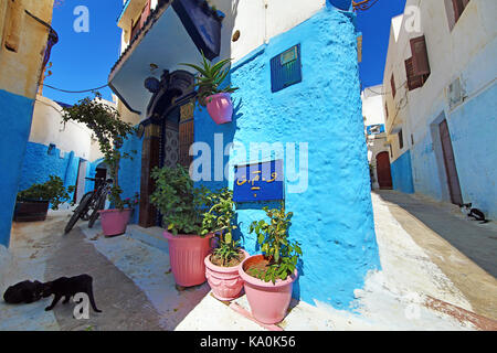 Blaue und weiße Wände der Straßen von Gebäuden in der Kasbah des Udayas in Rabat, Marokko Stockfoto