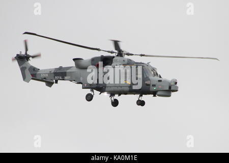 ZZ 535, ein AgustaWestland Wildcat HMA.2 Mit dem Hubschrauber Display Team der Royal Navy betrieben, die schwarze Katzen, bei East Fortune in East Lothian. Stockfoto