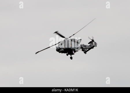 ZZ375 und AgustaWestland Wildcat HMA.2 Mit dem Hubschrauber Display Team der Royal Navy betrieben, die schwarze Katzen, bei East Fortune in East Lothian. Stockfoto