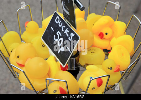 Korb der gelben Kunststoff Enten, 50 p. Stockfoto