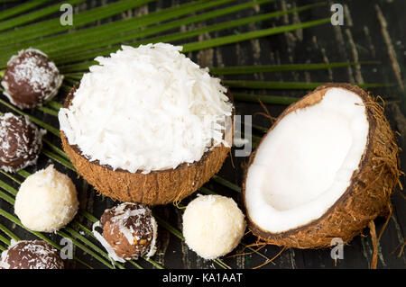 Coconut hausgemachten Dessert in einem natürlichen Shell als Schüssel Stockfoto