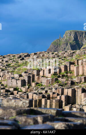 Der Giant's Causeway in County Antrim, Nordirland Stockfoto