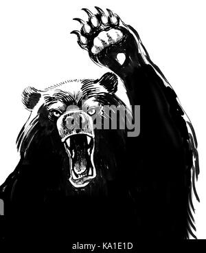 Angry Black Bear Stockfoto