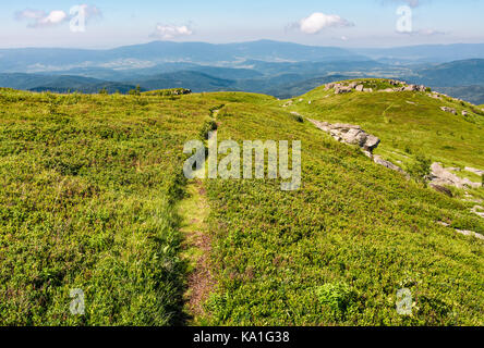 Weg durch Wiese Wiese, riesige Felsbrocken. schönen bergigen Landschaft im Sommer morgen Stockfoto