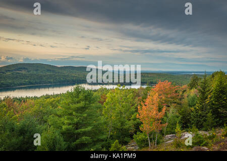Wald im Herbst mit Blättern ändern auf Berg am Meer Stockfoto