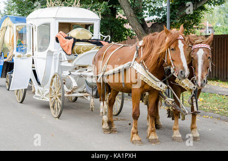 Pferde mit einer Beförderung zum Wandern rund um die Stadt Susdal. Golden Ring von Russland Stockfoto