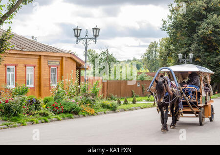 Pferd mit einem Schlitten für Wanderungen rund um die Stadt Susdal. Golden Ring von Russland Stockfoto