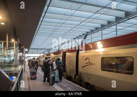 Der Hochgeschwindigkeitszug Thalys, Hauptbahnhof Rotterdam, Niederlande, kurz vor der Abreise nach Paris, Frankreich, mit dem Fluggäste einsteigen. Stockfoto