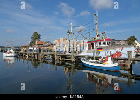 Fischerhafen, Maasholm, Schlei, Schleswig-Holstein, Deutschland Stockfoto