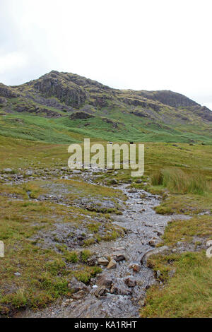 Hardknott Pass Eskdale lake district Stockfoto