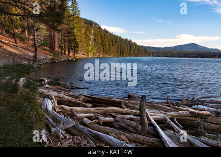 Butte Lake in den Lassen Volcanic National Park ist nur durch die Schneedecke und Feeds Butte Creek auf der nord-östlichen Ufer, wo die Protokolle sammeln. Stockfoto