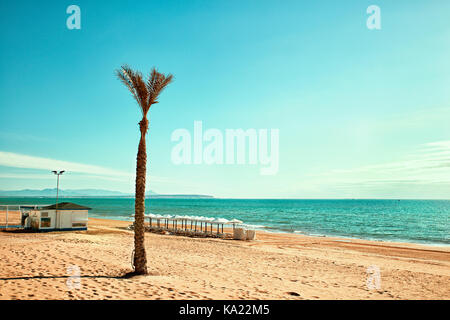 Ruhigen Strand mit Palmen, Sonnenschirme und Stühle auf dem Sand. Alicante, Spanien Stockfoto