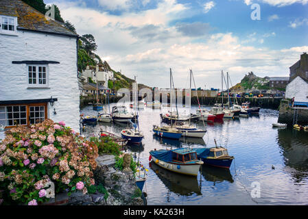 Boote in Polperro Hafen Südküste Cornwalls UK günstig Stockfoto