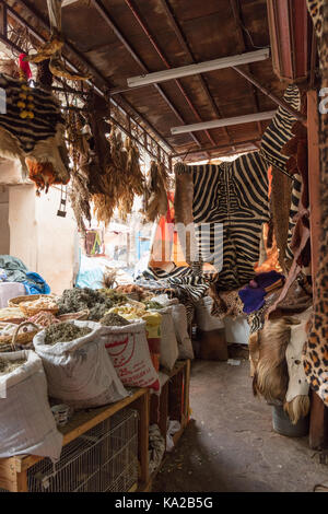 Felle für den Verkauf in den Souk in Marrakesch, Marokko Stockfoto