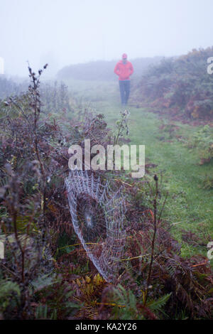 Flintshire, North Wales, UK Wetter. Nach einem Bann der sintflutartigen Regenfälle während des Abends der Morgen beginnt mit einem schweren Tau und Nebel in Flintshire NorthWales als diese Person entdeckt zu Fuß in der Nähe des Dorfes Moel y Crio. Stockfoto