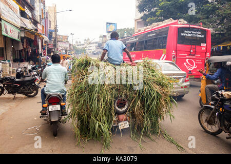 HYDERABAD, INDIEN - 25. SEPTEMBER 2017 Sozius Fahrer sitzt oben auf Bündel von Futter auf einem two wheeler an einer verkehrsreichen Straße in Hyderabad, Indien. Sanjay Borra/Alamy Nachrichten Stockfoto