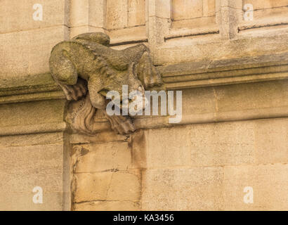 Groteske Tier an der Wall der Hl. Jungfrau Maria Kirche in Oxford Stockfoto